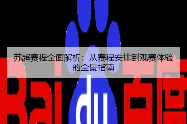 苏超赛程全面解析：从赛程安排到观赛体验的全景指南