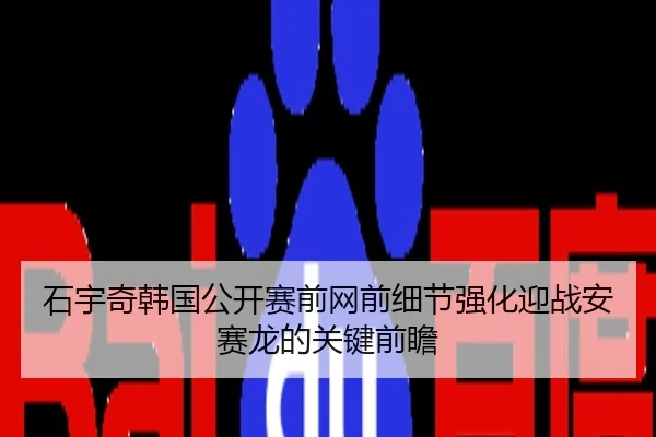 石宇奇韩国公开赛前网前细节强化迎战安赛龙的关键前瞻