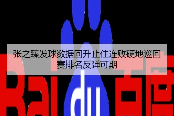 张之臻发球数据回升止住连败硬地巡回赛排名反弹可期